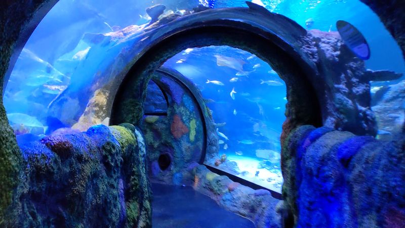 Interactive Touchpool Tactics