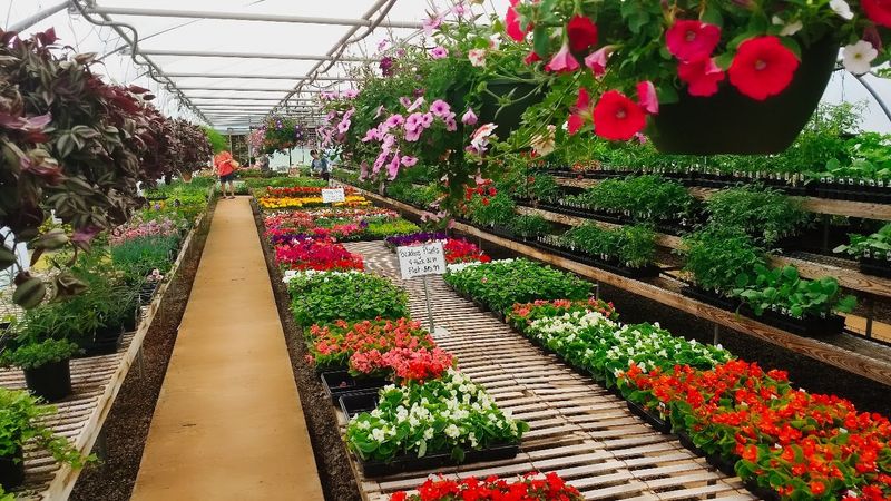 Shop For Mums, Collards, And Jars Of Southern Goodness
