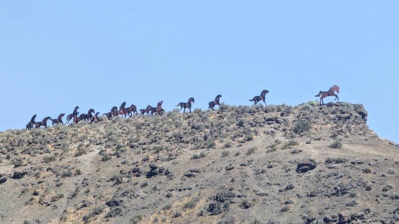 Short Trail, Big Attitude: The Climb To The Herd