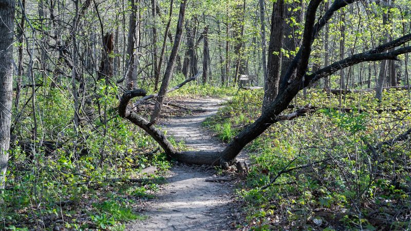 Short Trails With Big Payoffs