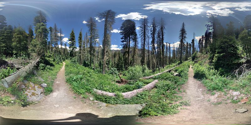 Short Walks And Long Routes Can Start From The Same Place