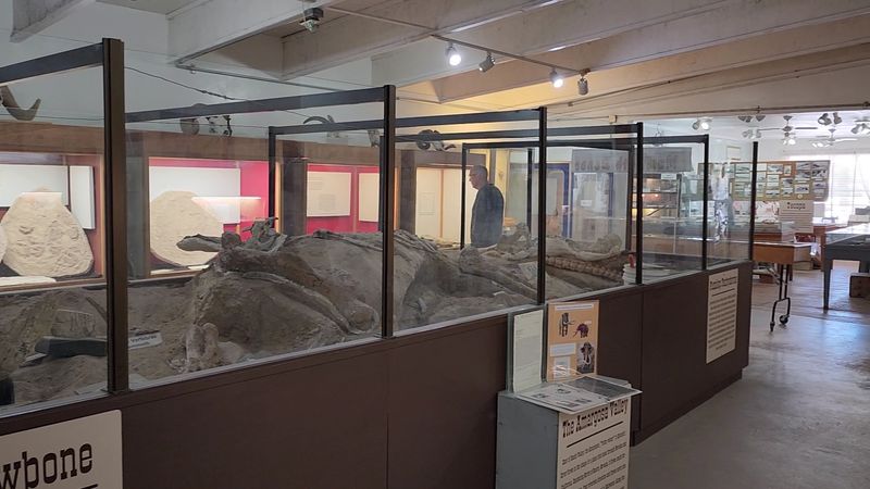 Shoshone Museum