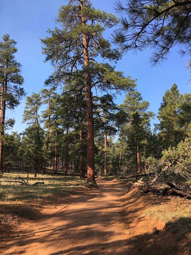 Shoshone Point Trail, Grand Canyon South Rim