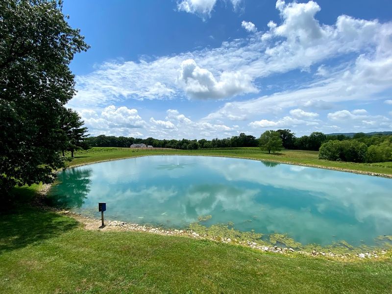 StarView Vineyards, Cobden