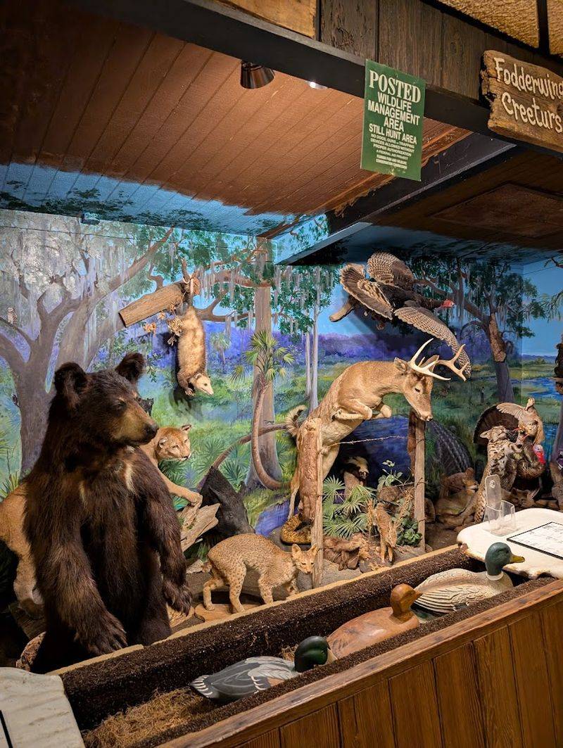 Live Music, Cabins, And A Full Experience Beyond The Plate