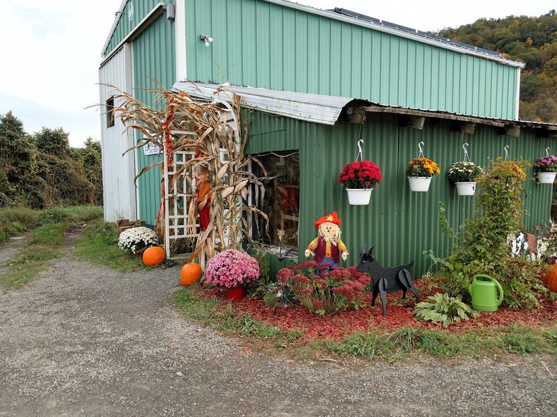 Side Hill Acres Goat Farm