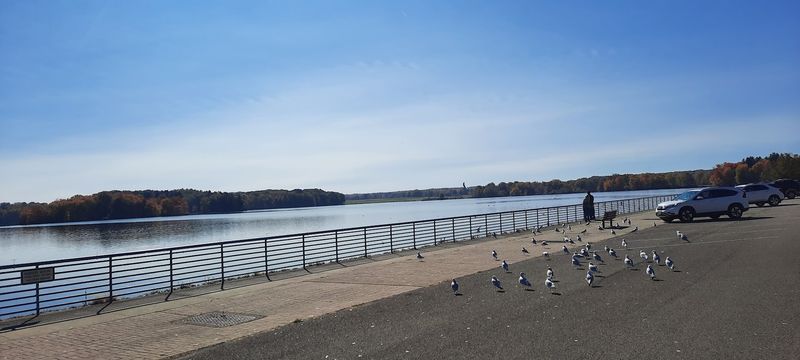Spillway Trail, Pymatuning State Park