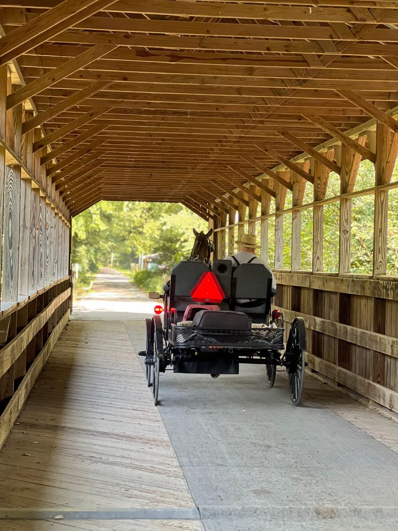 Trail Life: Walkers, Cyclists, And Horses