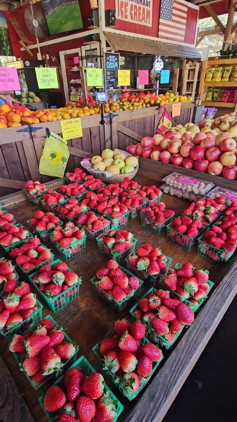 Taste, Texture, And Portions: What To Expect