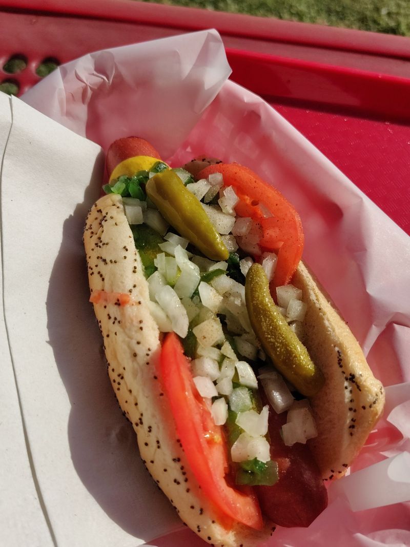Chicago Dog With A Spicy Kick