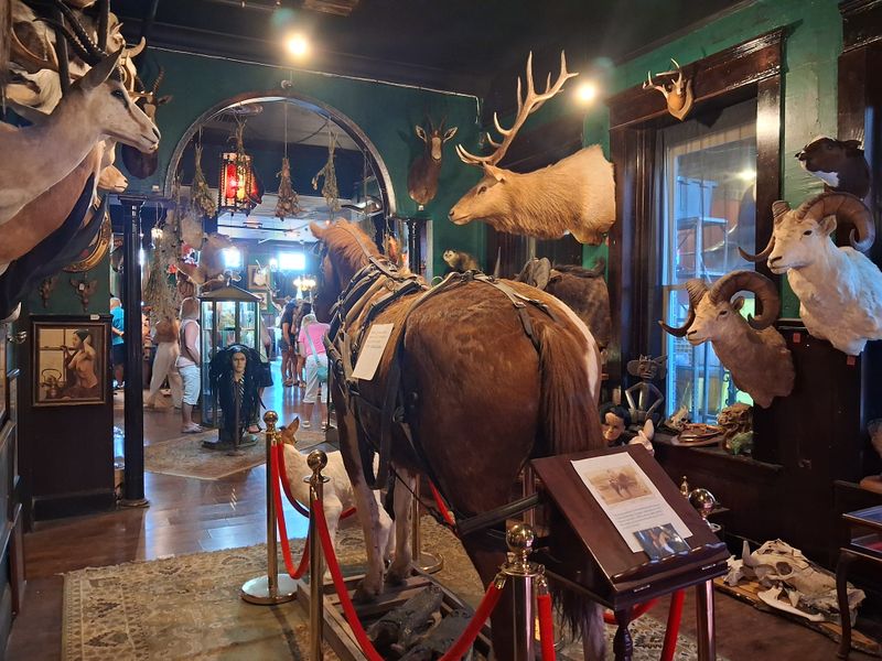 Service Style And Customer Experience