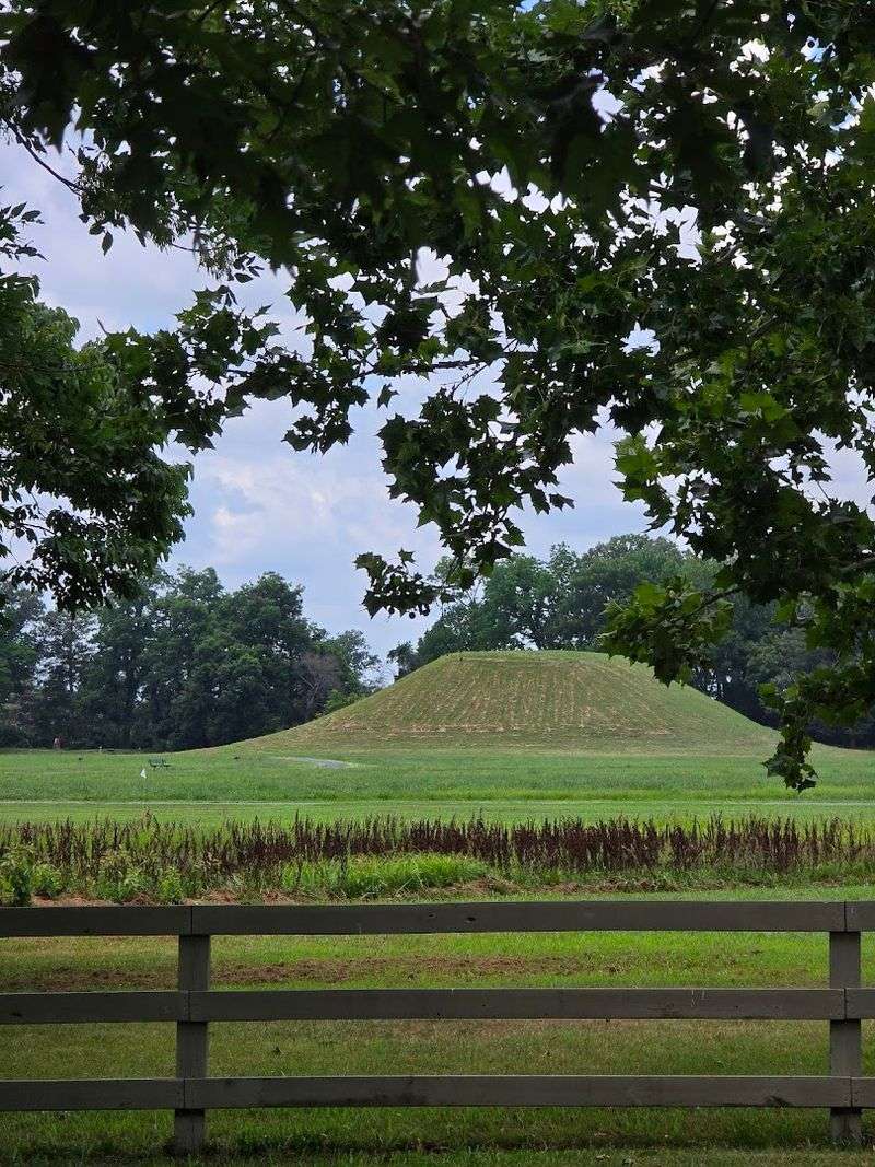 Stories Of Spirits Carried Through Generations