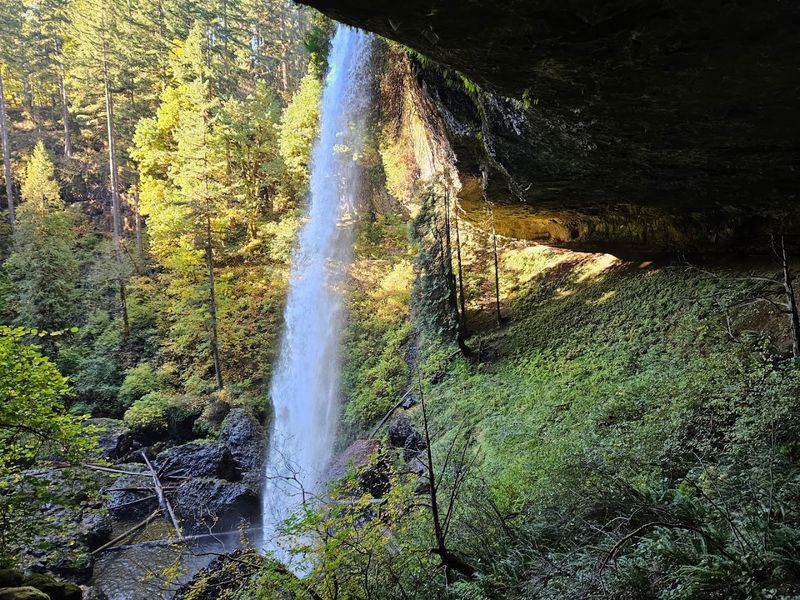 Silver Falls State Park