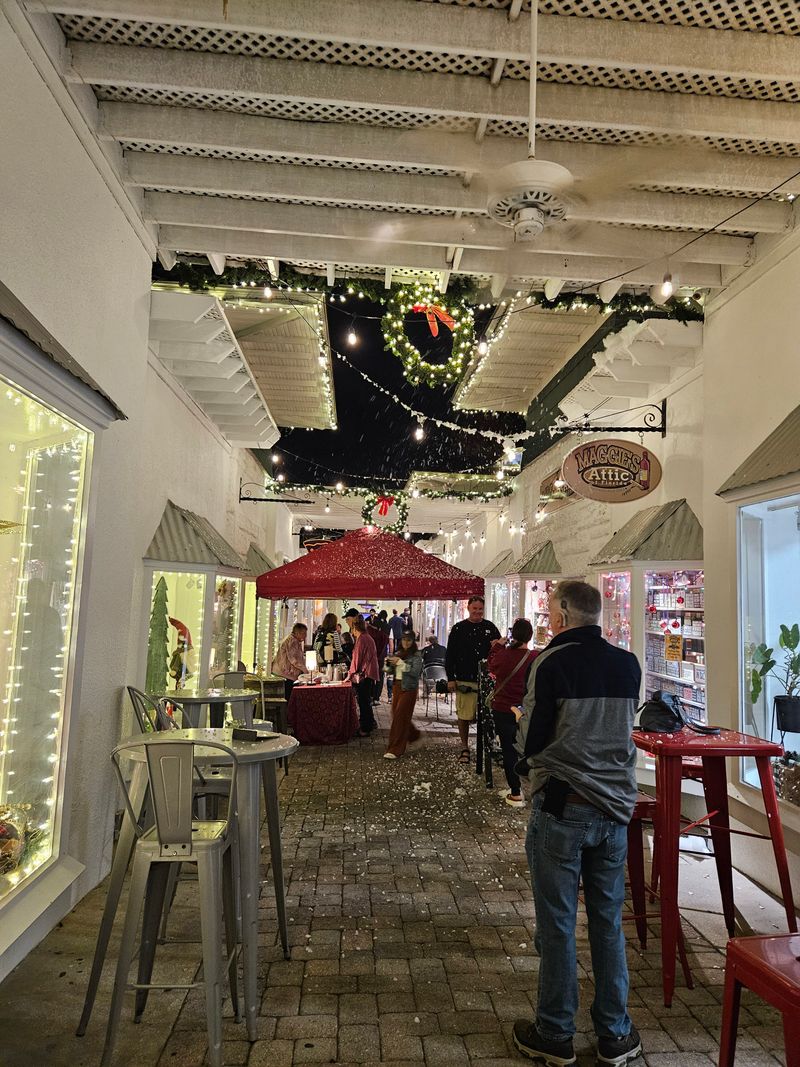 Mount Dora (Downtown Area)