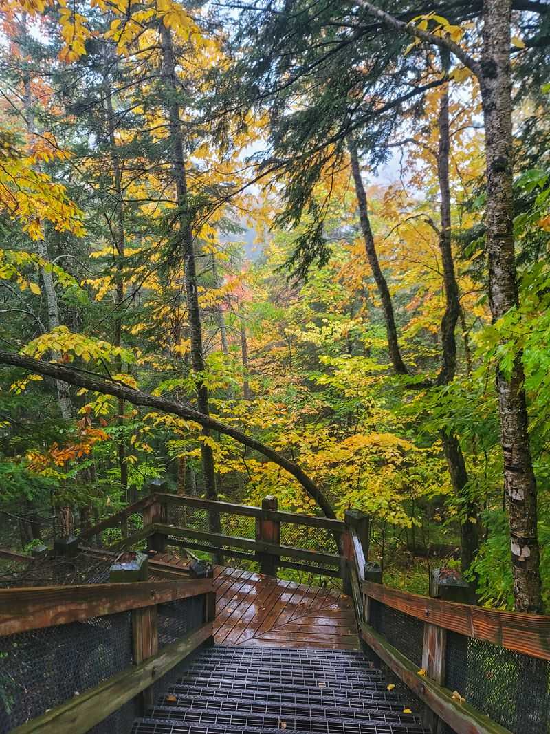 Tahquamenon Falls State Park