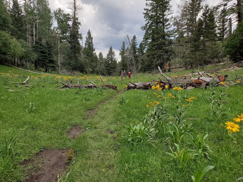 Silver Overflow Campground