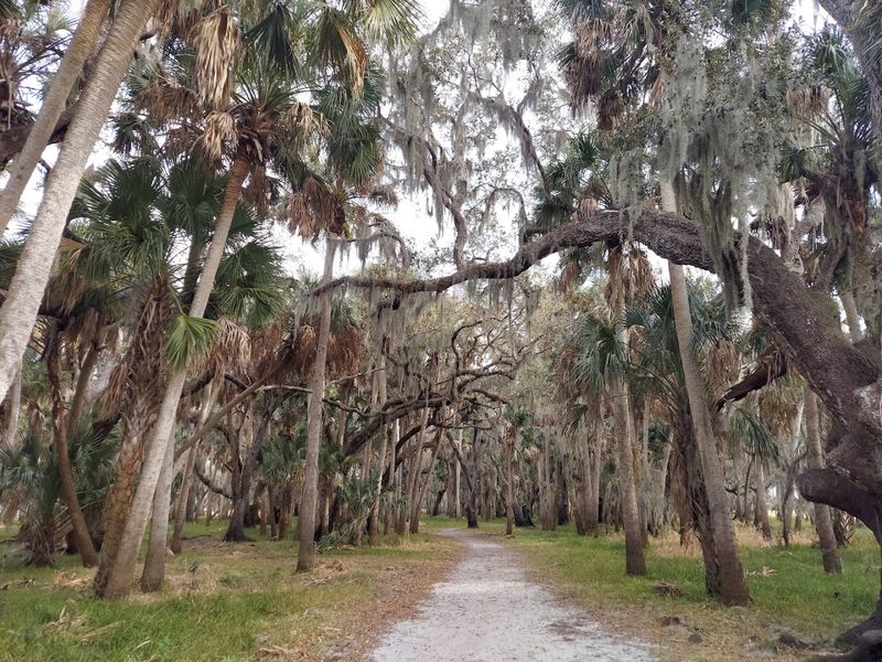 Myakka River State Park
