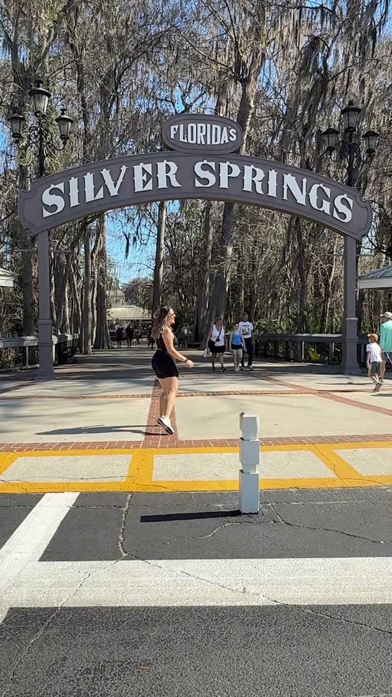 Silver Springs State Park, Silver Springs