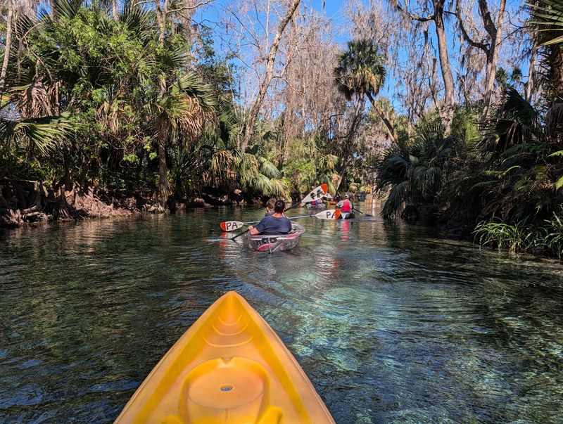 Silver Springs State Park, Silver Springs