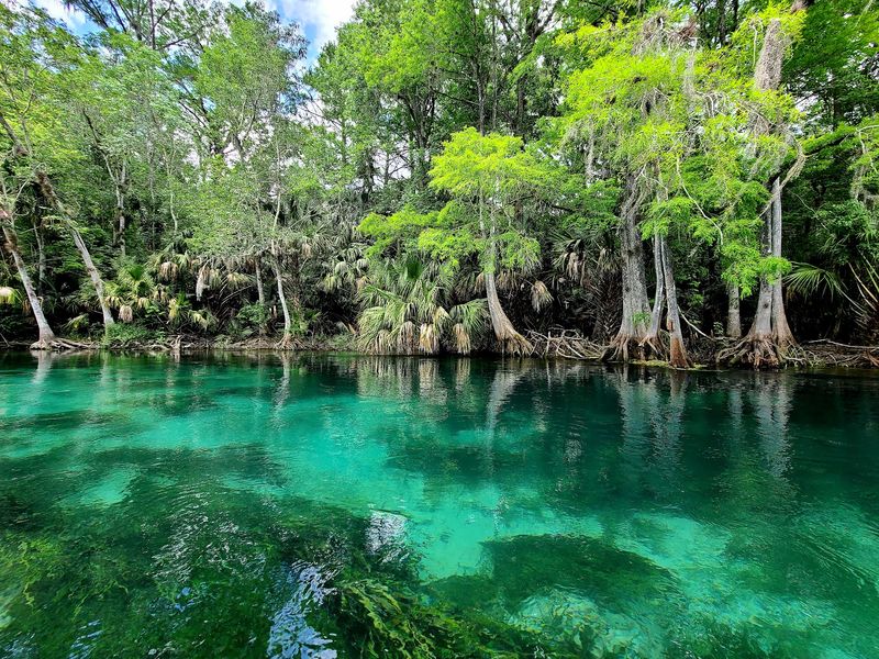 Silver Springs State Park, Silver Springs, FL Silver Springs State Park, Silver Springs, FL