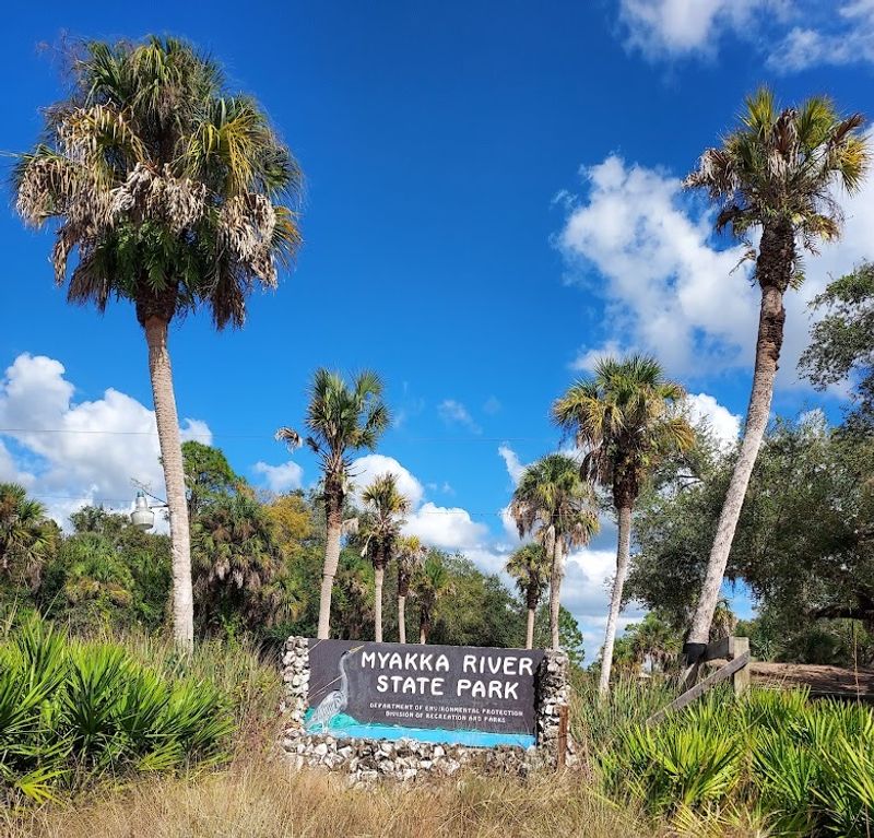 Myakka River State Park, Sarasota