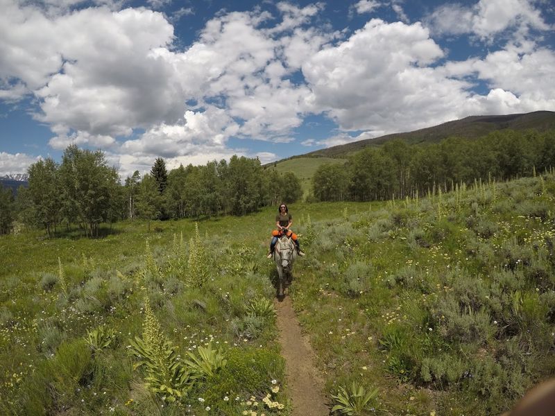 Silverthorne