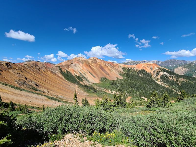Alpine Wildflowers And High-Altitude Scenery Along The Route