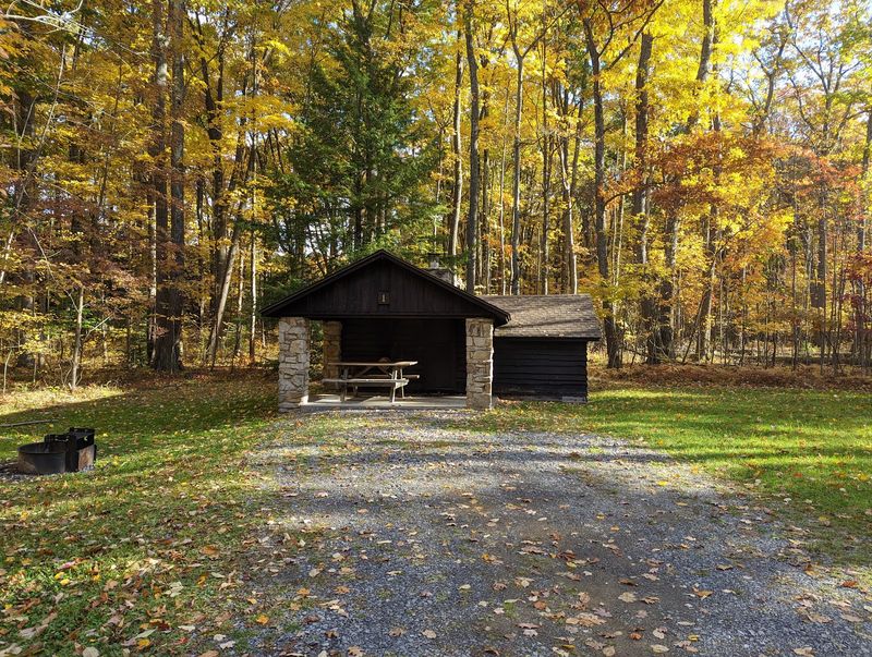 Simon B. Elliott State Park Rustic Cabins, Penfield, Pennsylvania