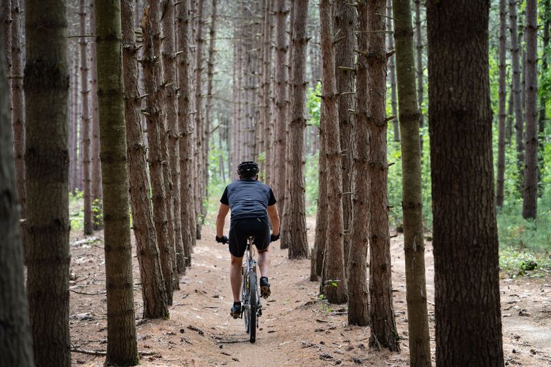Sinclair Wash Trail, Flagstaff