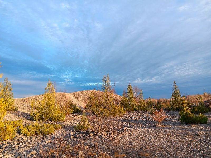 Gentle Collecting Ethics