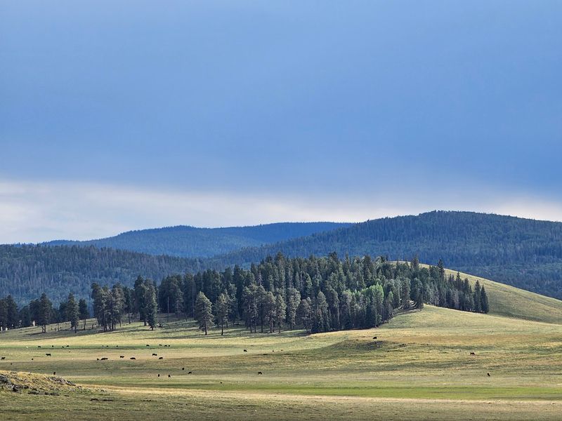 Sipe White Mountain Wildlife Area