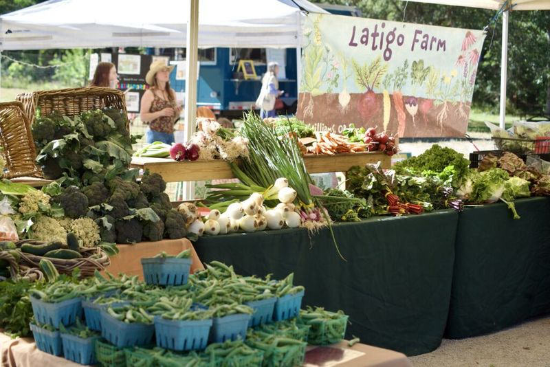 Grants Pass Farmers Market: Rogue River Bounty