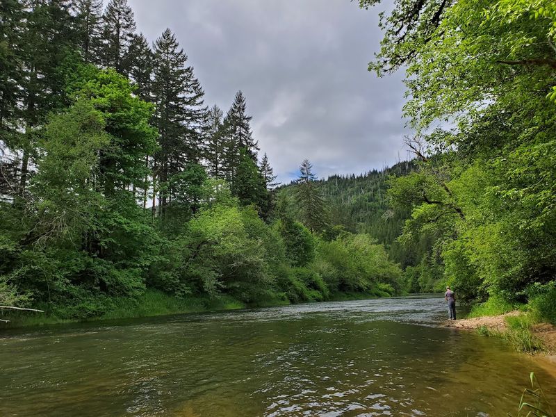 Siuslaw River Siuslaw River