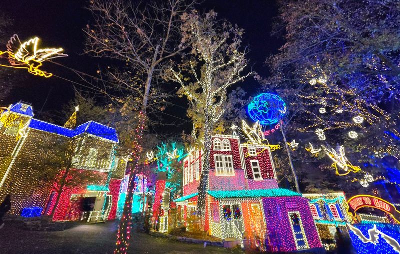 Six Annual Festivals That Transform The Park Every Season