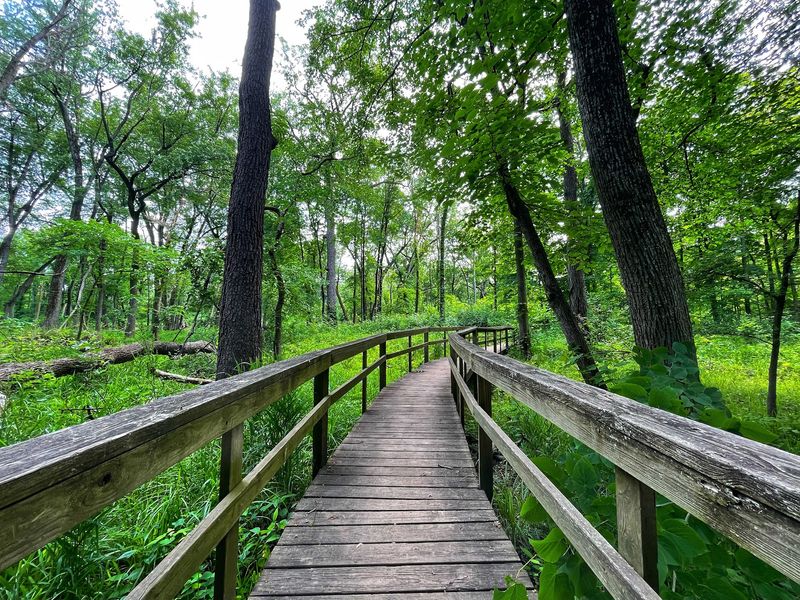 Six Miles of Trails That Cost You Nothing