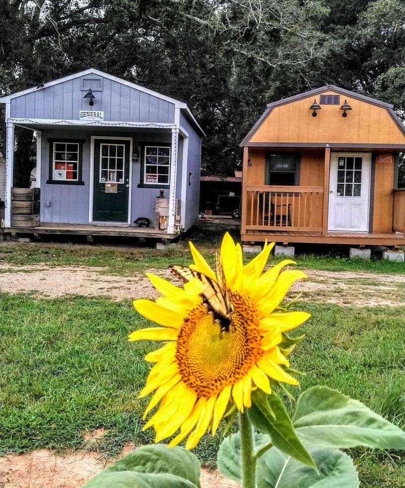 Six Oaks Farm, Jonesville