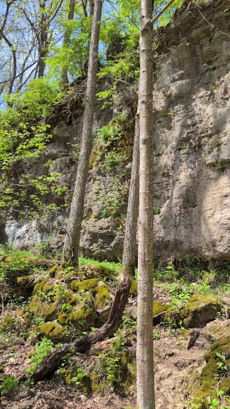 Rock Climbing Right Inside the Park