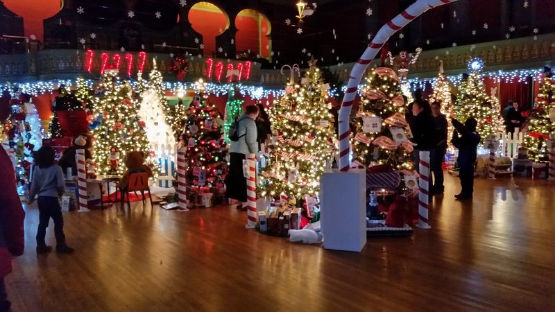 Sixty-Plus Trees And Every One Could Be Yours