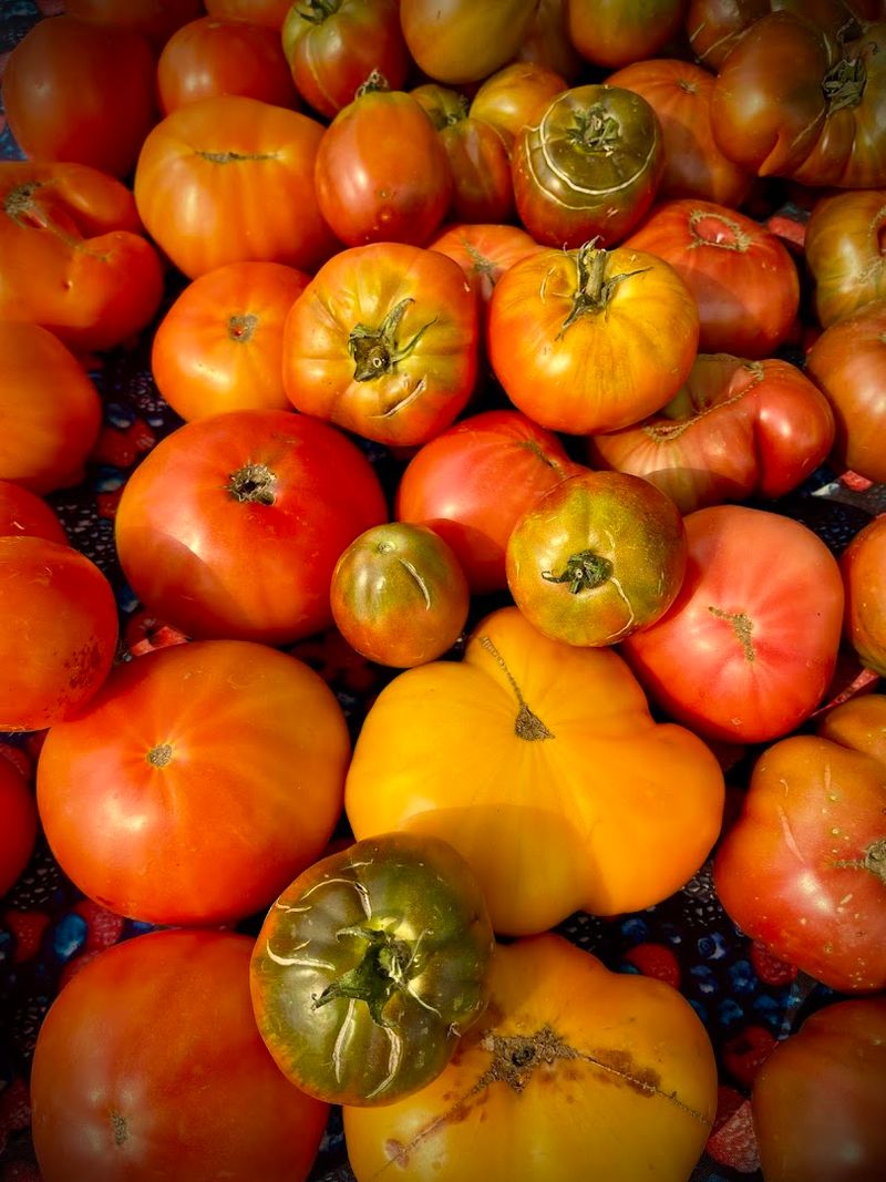 Skagit Valley Farmers Market On The Grounds