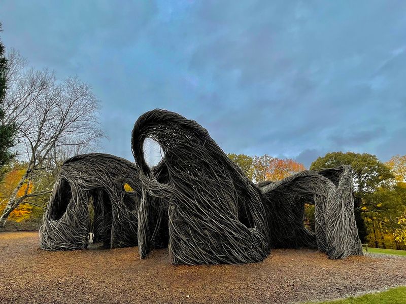 Skeleton Grove And Seasonal Fun