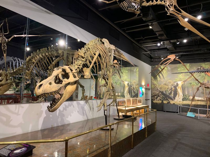 Skeletons So Big You'll Need To Tilt Your Head Back