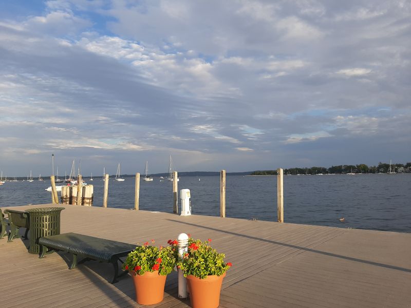 The Marina’s Winter Murmur