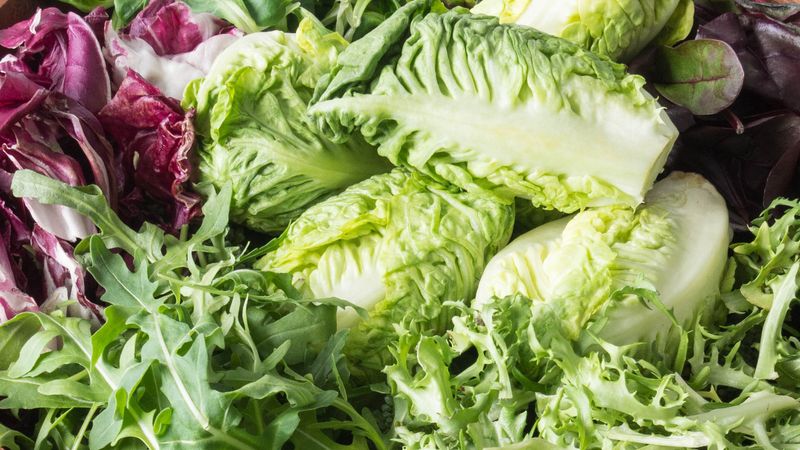 Not Considering Alternative Greens Beyond Lettuce