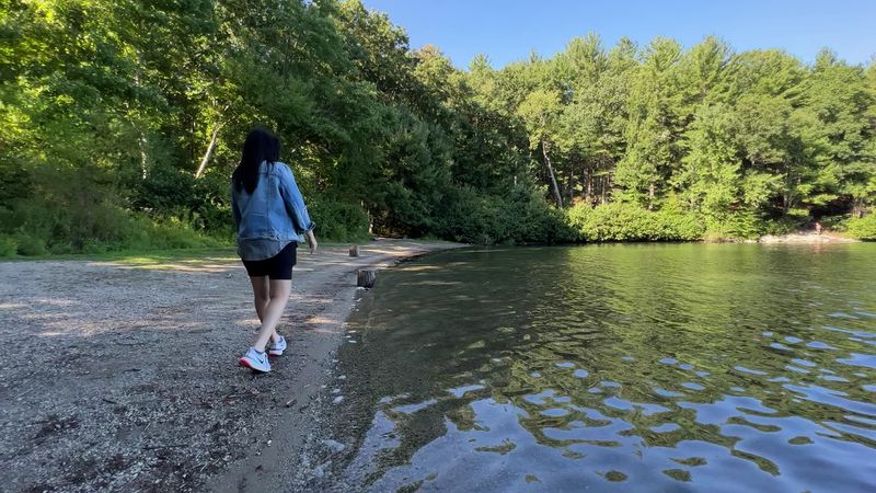 Walden Pond State Reservation (Concord)