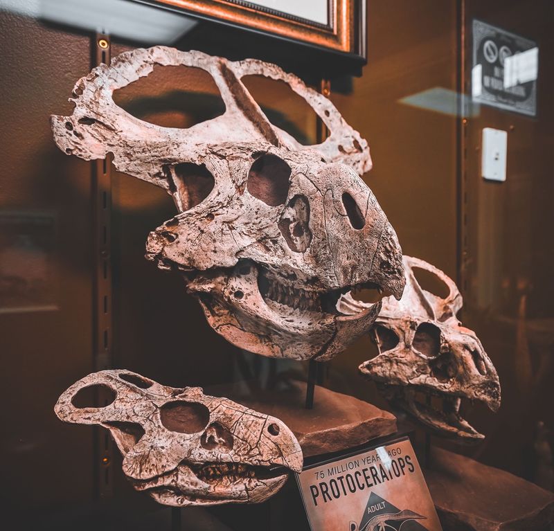 Skulls Need Context