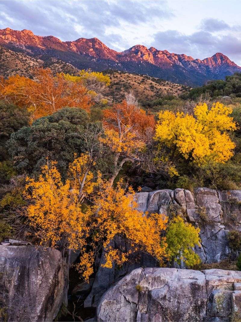 Sky Islands And Mountain Scenery Sky Islands And Mountain Scenery