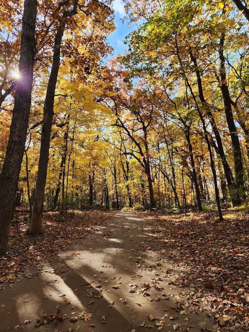 Trails, Boardwalks, And Wayfinding