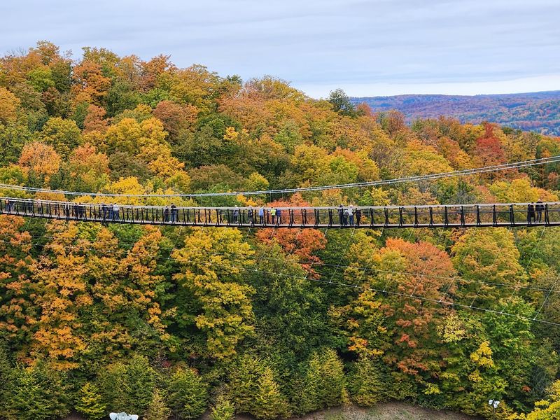 SkyBridge Michigan