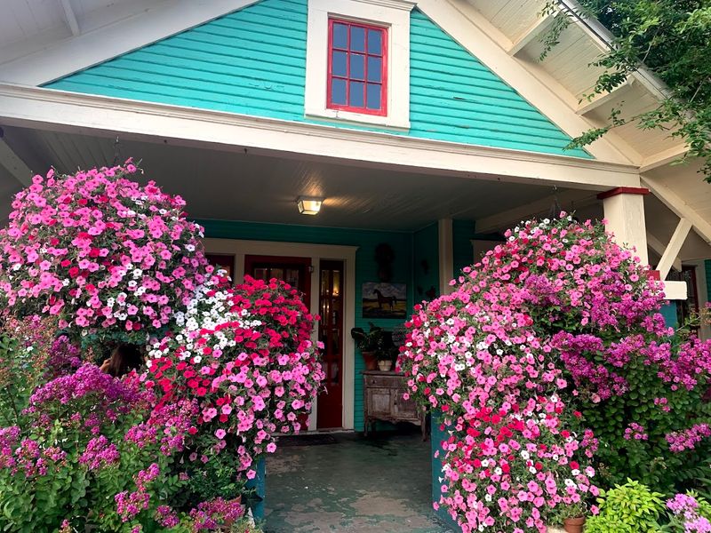 Skylark Cafe, Leslie