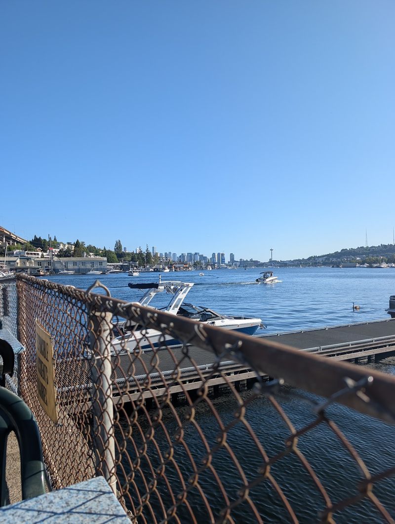 Skyline, Seaplanes, and a Peek at the Space Needle
